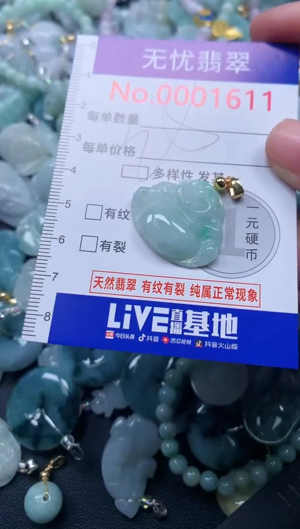 颈饰未镶嵌翡翠1611