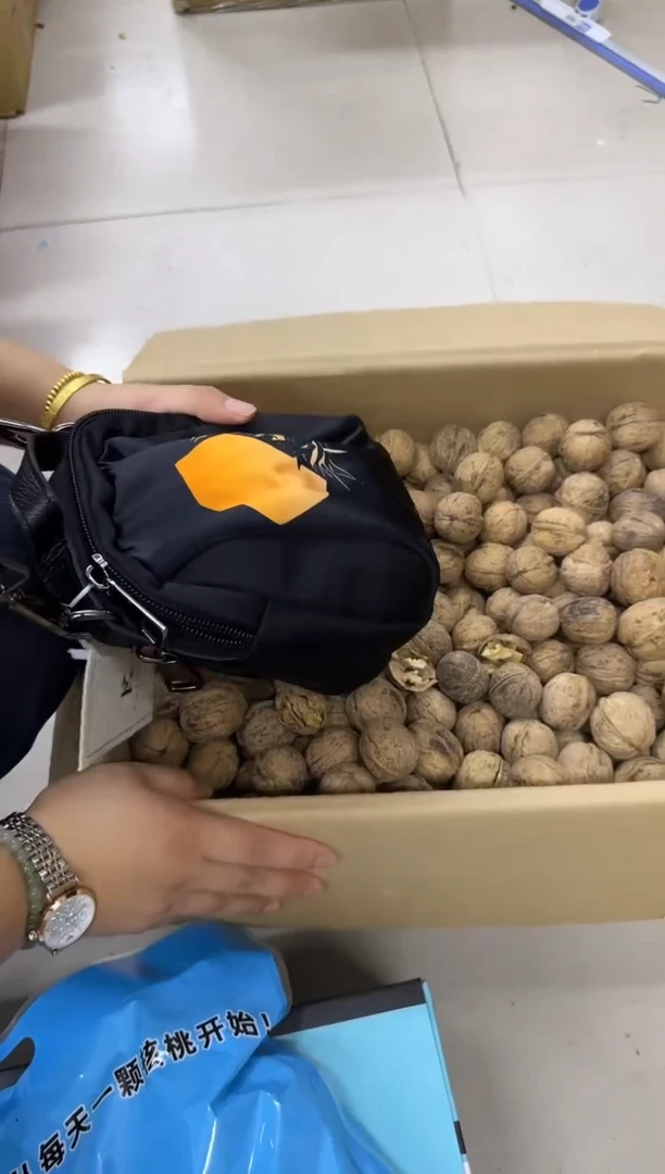PVC王老四直播闪购商品看图下单发2斤核桃