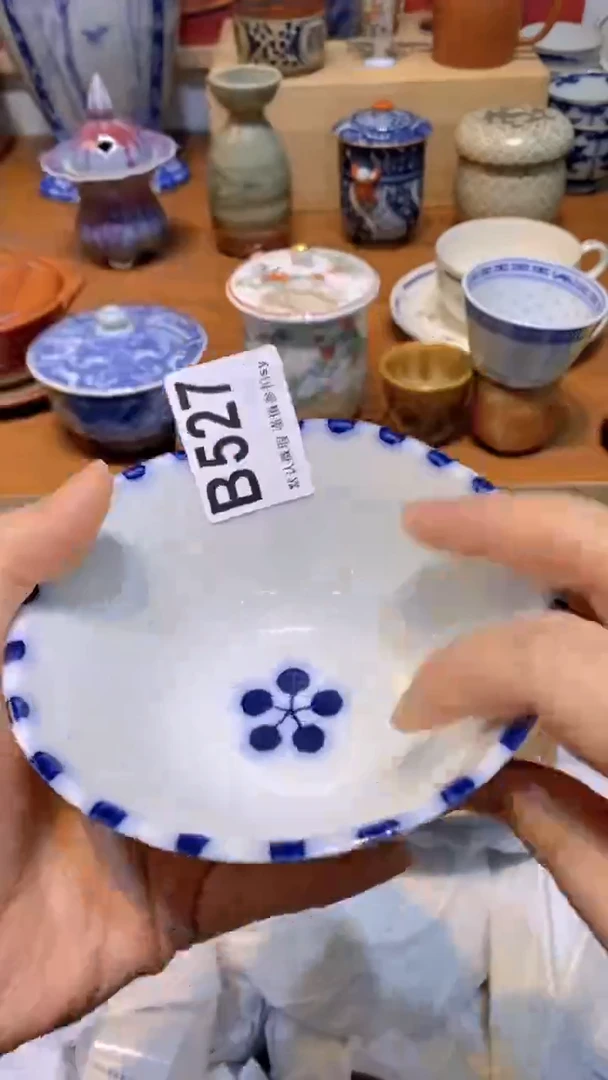 【闪购商品】思羽甄选壹号商品BB527