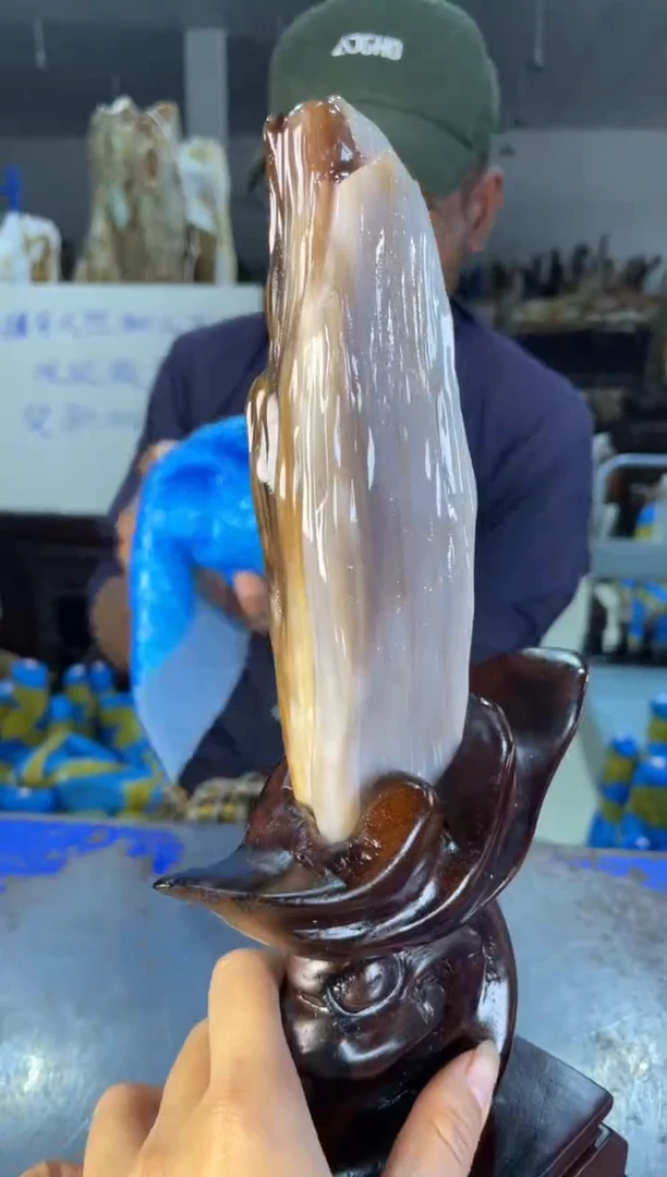 未镶嵌摆件硅化玉7