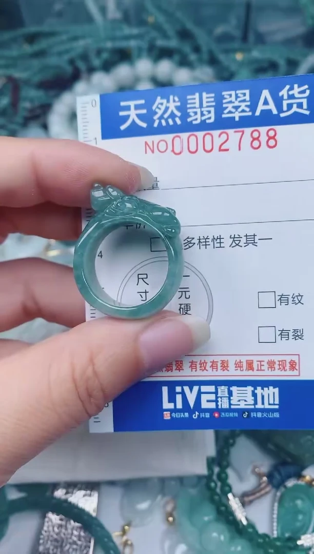 颈饰未镶嵌翡翠00002788