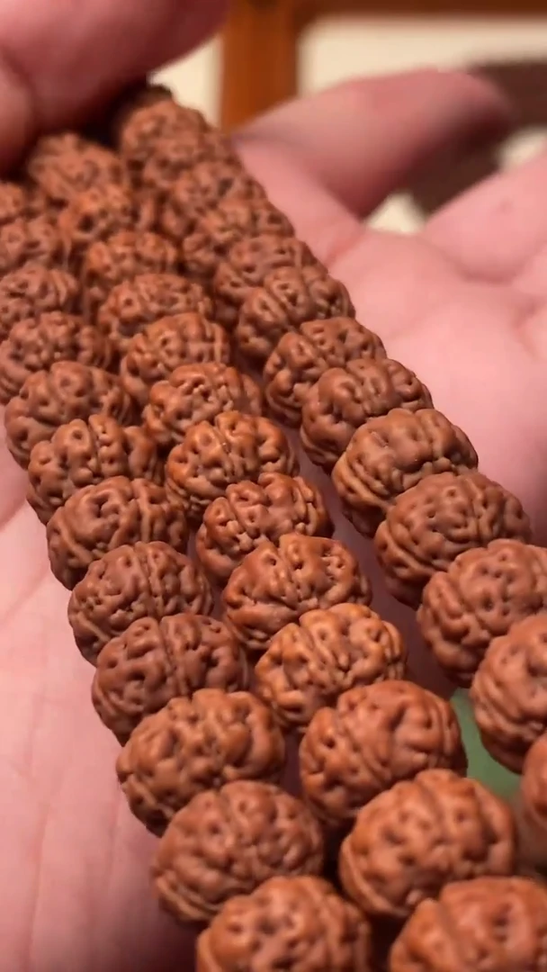 吊坠金刚菩提旭**乐勿里达纯血老树王定制