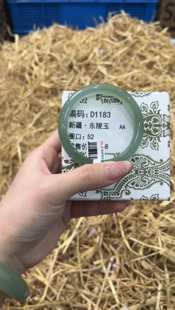 未镶嵌手镯石英质玉D1183