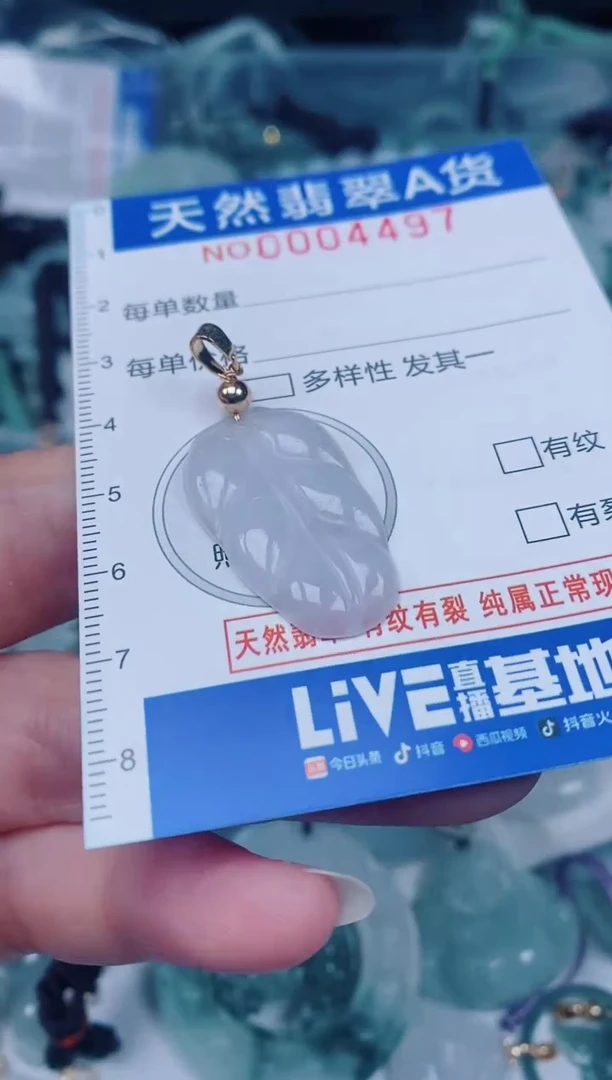 颈饰未镶嵌翡翠00004497