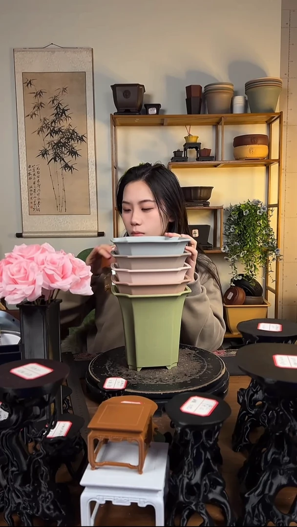 18*17.5四方尊 5只装混色