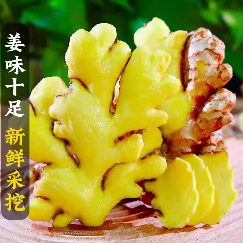 云南正宗小黄姜老生姜老姜1斤/3斤/5斤/9斤月子姜土姜沙姜老黄姜