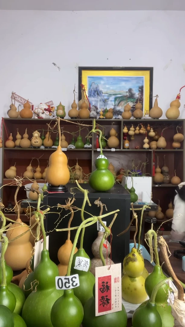415天然葫芦摆件 一物一拍龙头不保售后