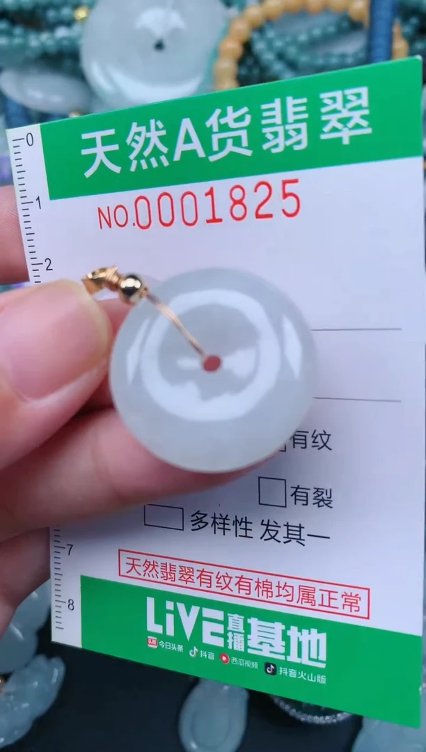 翡翠未镶嵌颈饰.0001825