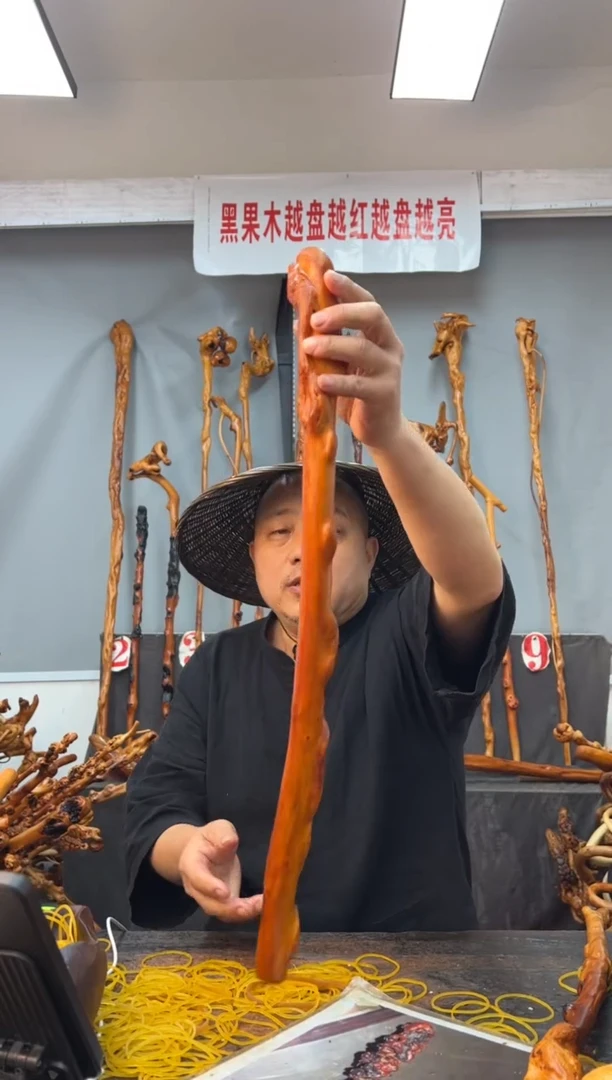 【闪购商品】黑果木其他黑果木941