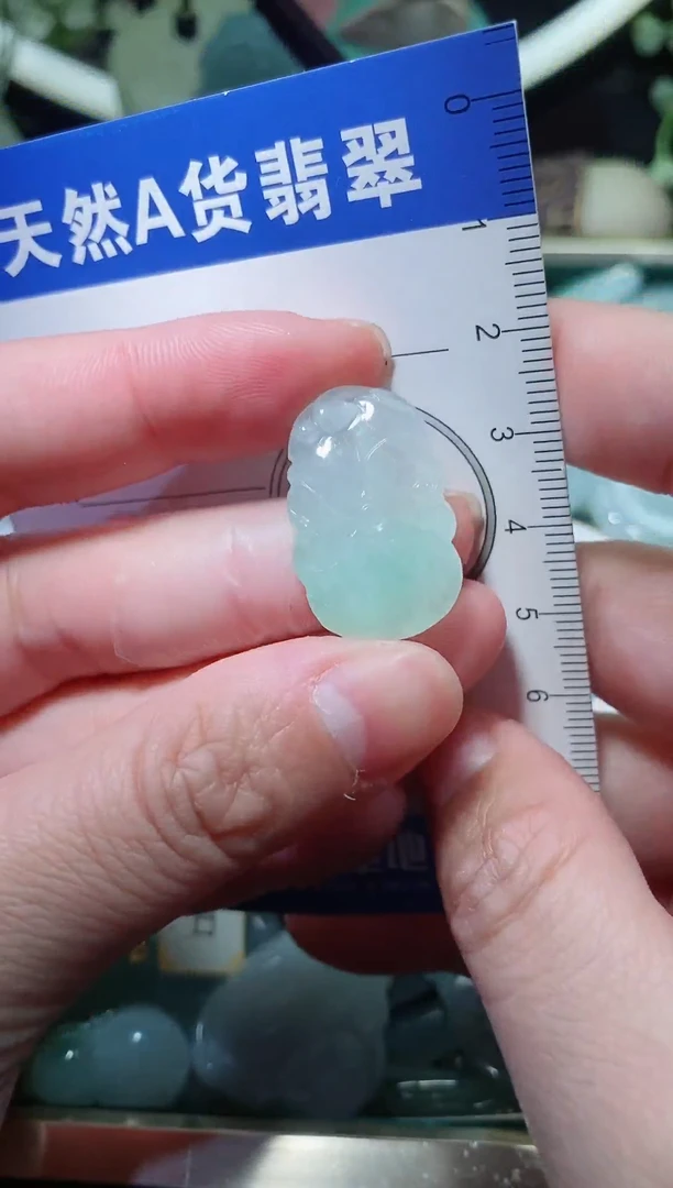 【闪购商品】翡翠颈饰未镶嵌天然A货翡翠一件