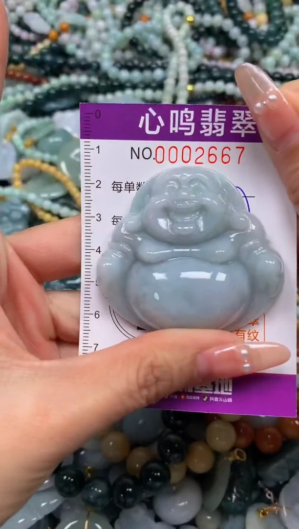 颈饰未镶嵌翡翠闪购002667