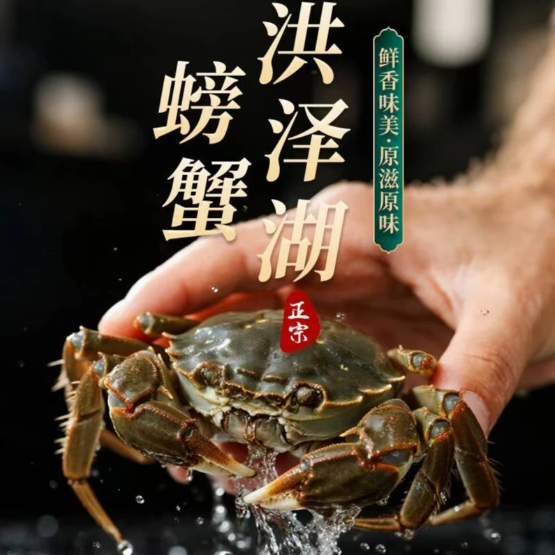 【活蟹】洪泽湖大闸蟹(公4.0-3.7两5只)+（母2.7-3.0两5只）10只包邮