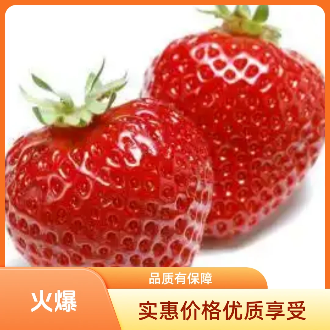 【当季鲜】红颜草莓