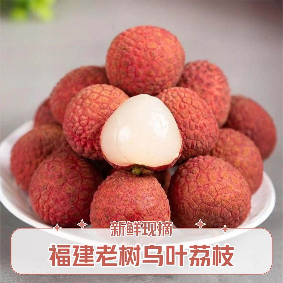 【次日达】03福建老树黑叶乌叶荔枝带小枝叶发货带箱5斤应季新鲜水果现摘现发多仓发货荔枝同城送福建省