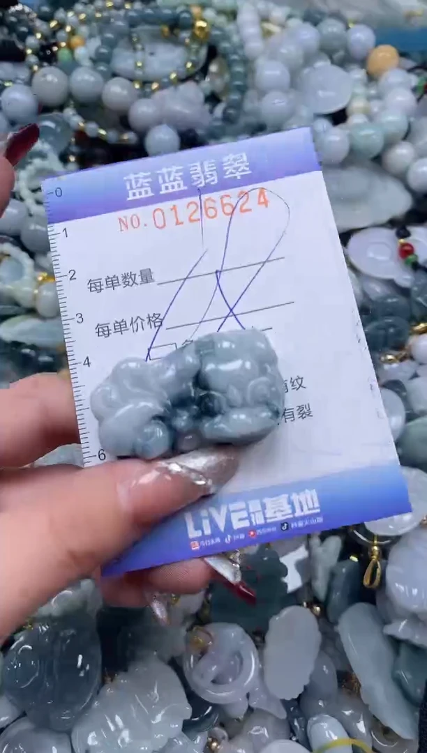 【闪购商品】翡翠颈饰未镶嵌闪购0126624多样性发其一