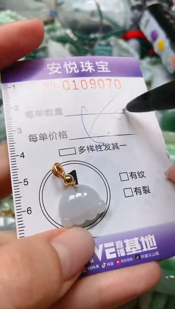 【闪购商品】翡翠颈饰未镶嵌闪购0109070