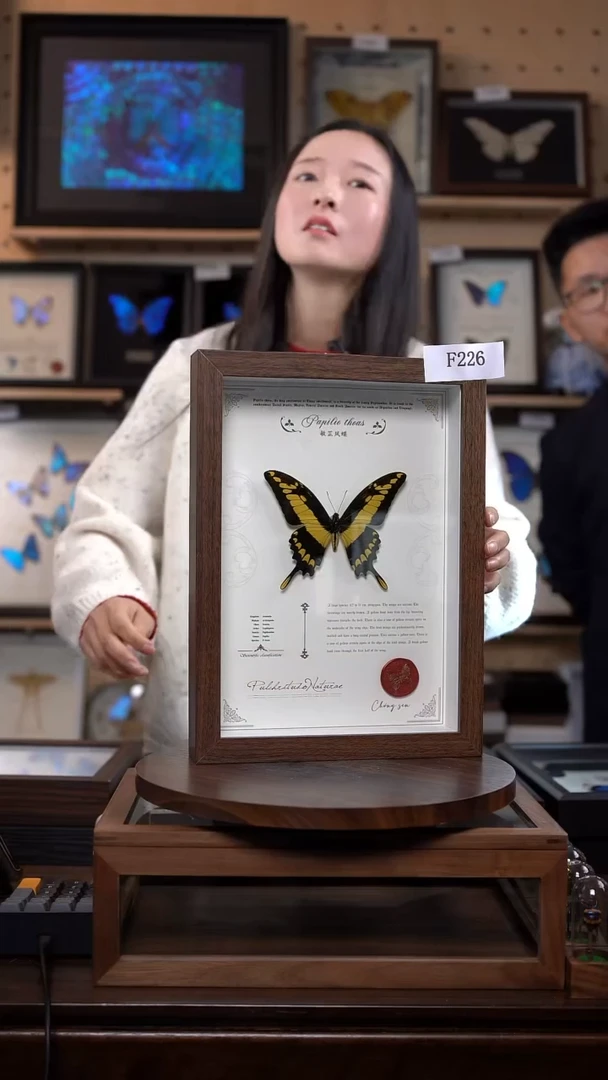 砚微瑕蝴蝶标本摆件一口价F226