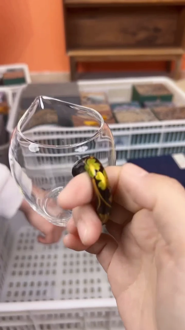 【闪购商品】          @@LZ044