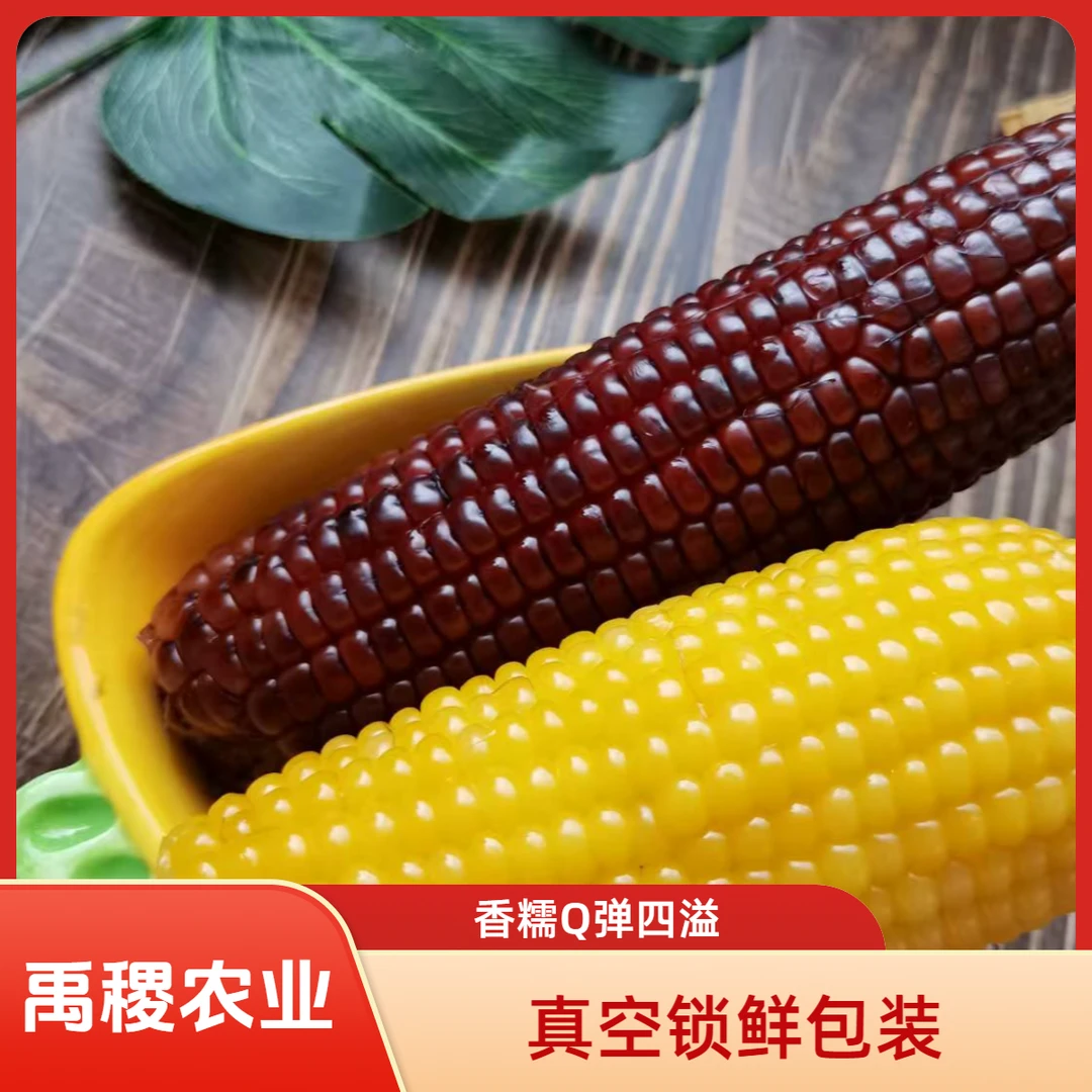 禹稷农业东北头茬真空锁鲜新糯玉米800g*2袋