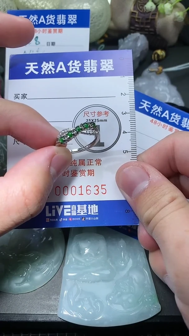 【闪购商品】翡翠颈饰未镶嵌纯天然A货翡翠一件