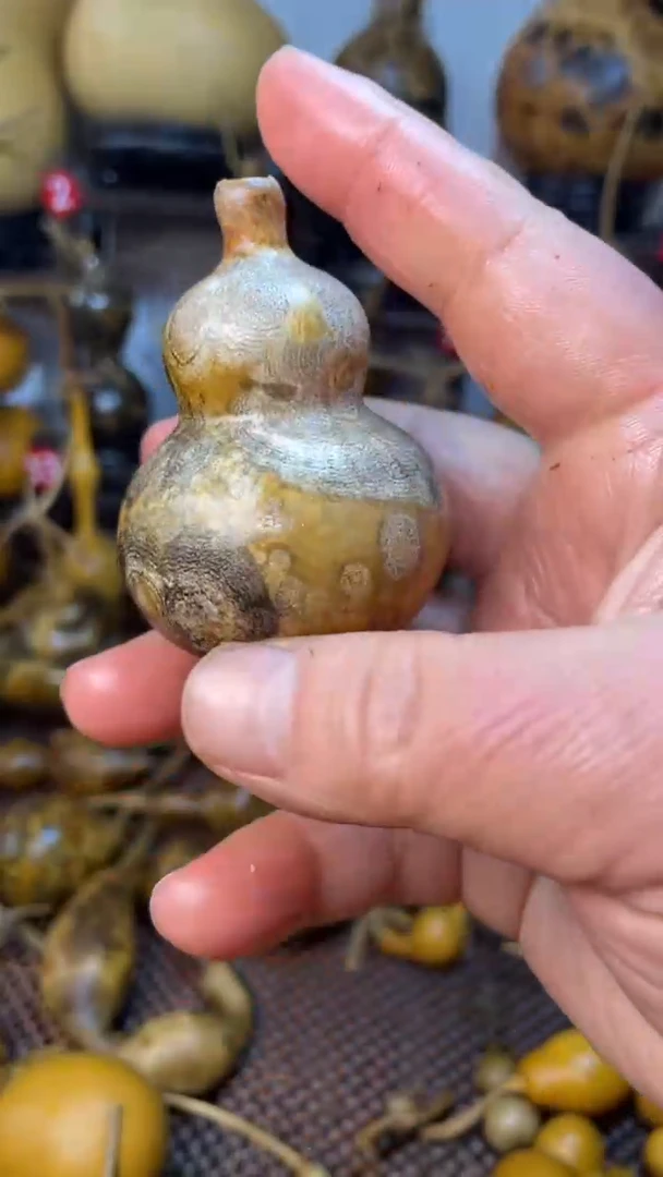【闪购商品】葫芦了葫芦葫芦葫芦葫芦