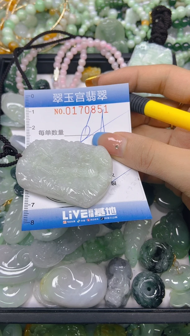 翡翠未镶嵌颈饰闪购0170851多样性发其一