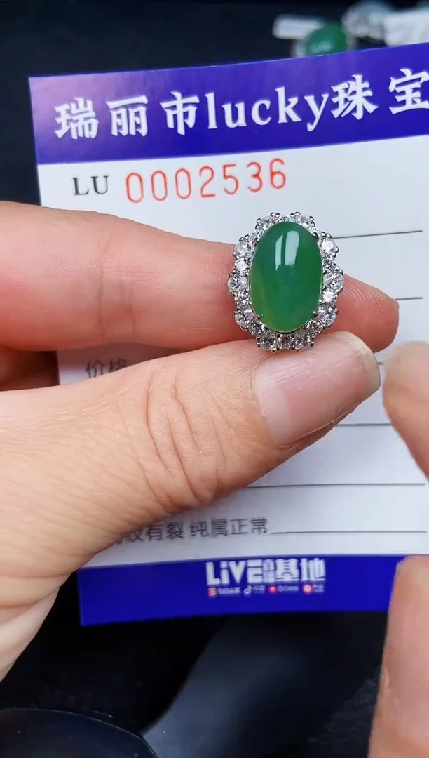 翡翠银S925镶嵌颈饰2536