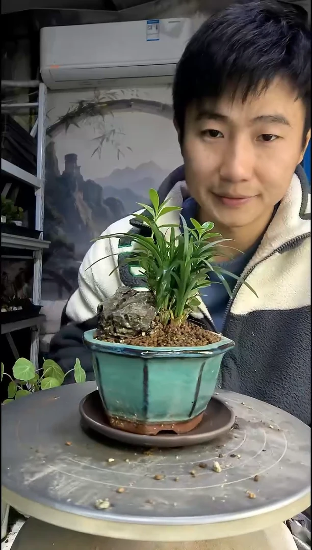 张*中青园艺一物一拍442