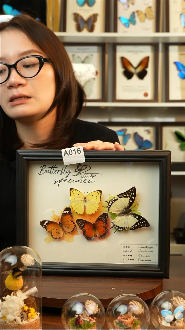 四色蝴蝶组合（10寸欧式黑框）A016