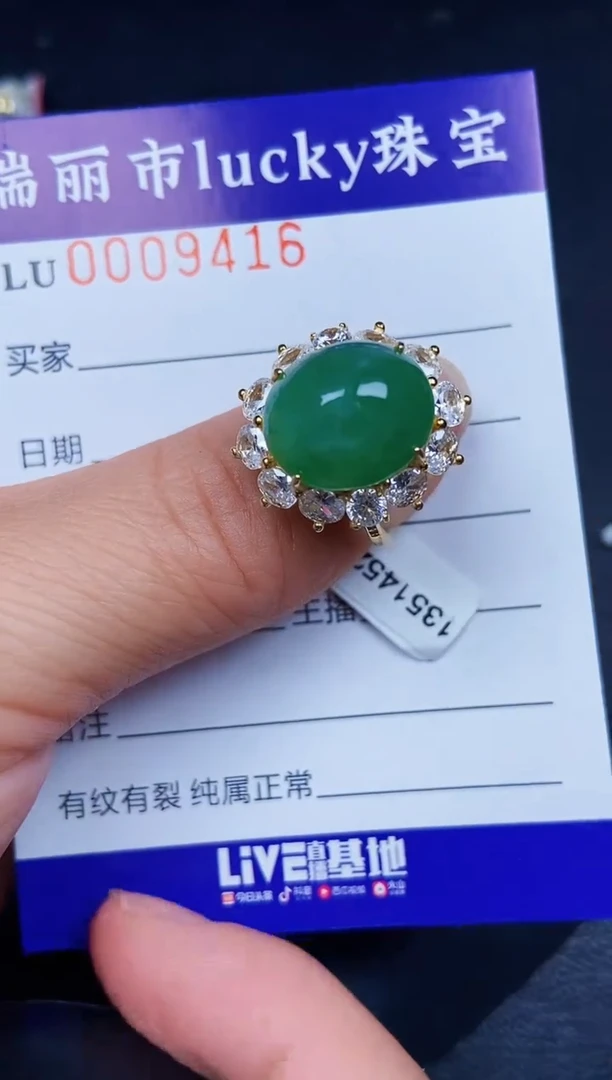 翡翠银S925镶嵌颈饰9416
