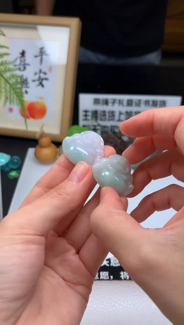 翡翠未镶嵌颈饰---21097多样性发其一
