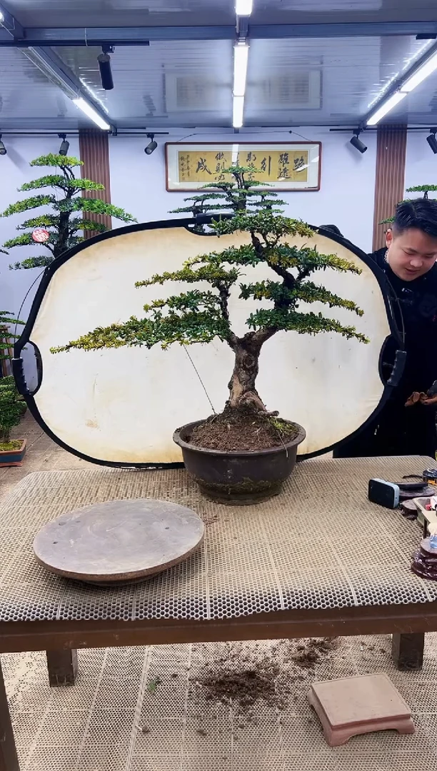 【闪购商品】0000000000