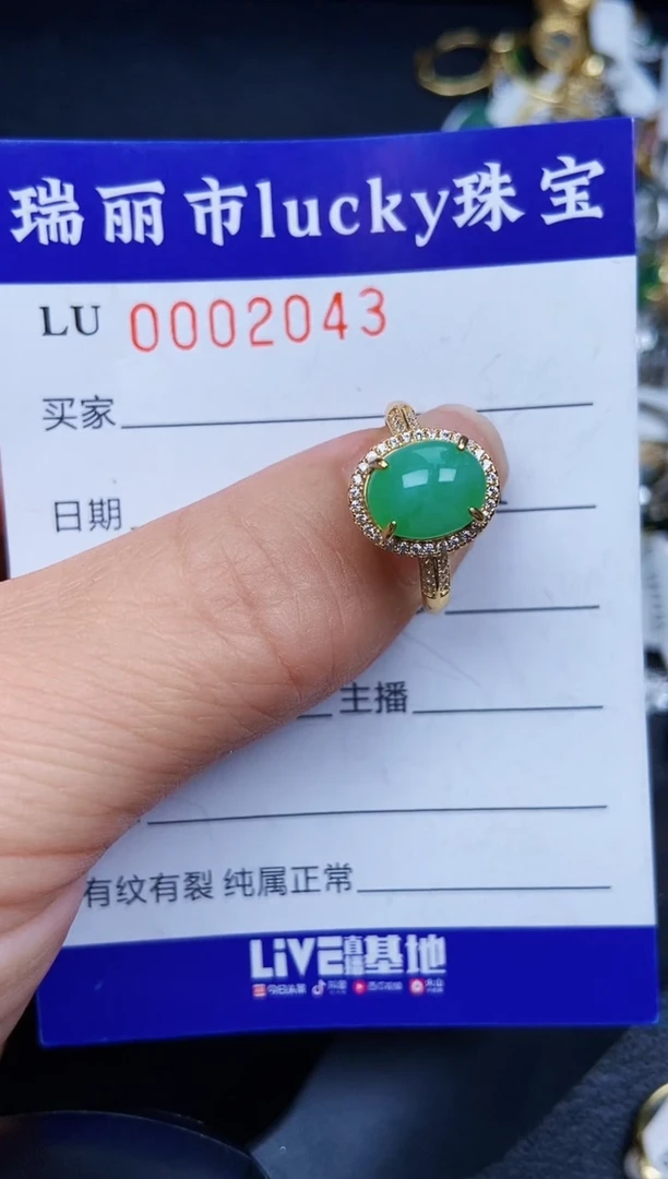 翡翠银S925镶嵌颈饰2043