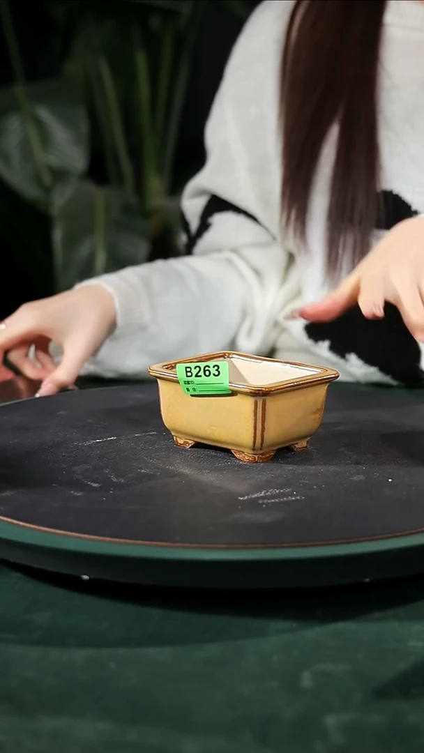 【石湾花盆】掌中宝小盆263