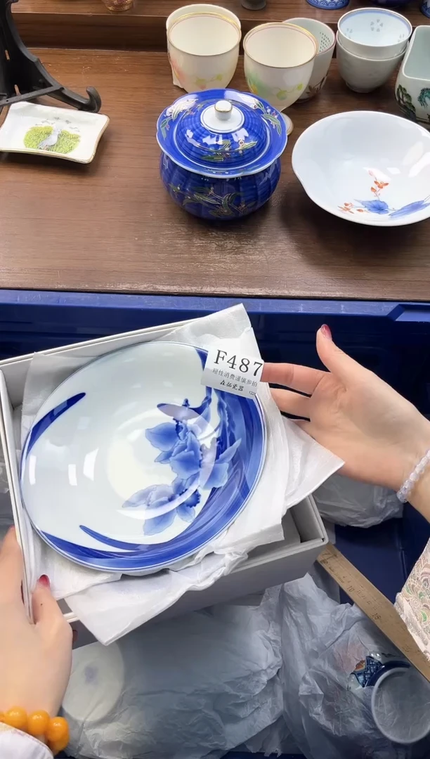 【闪购商品】瓷片----------F487