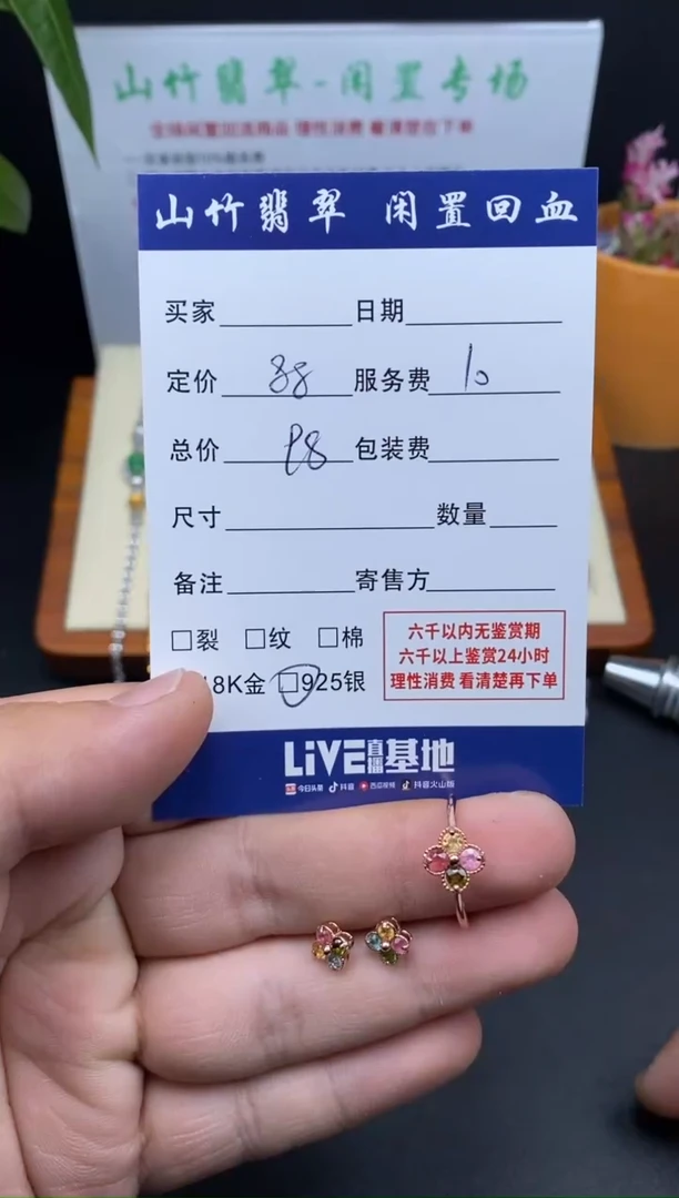 银S925镶嵌耳饰碧玺3001425