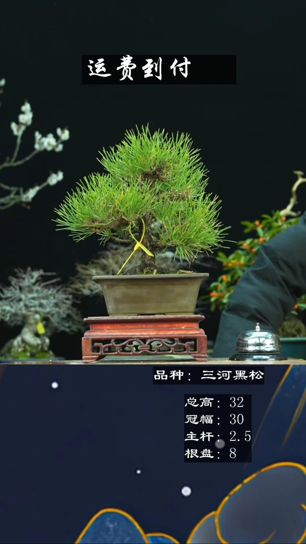 【闪购商品】无铅玻璃118226
