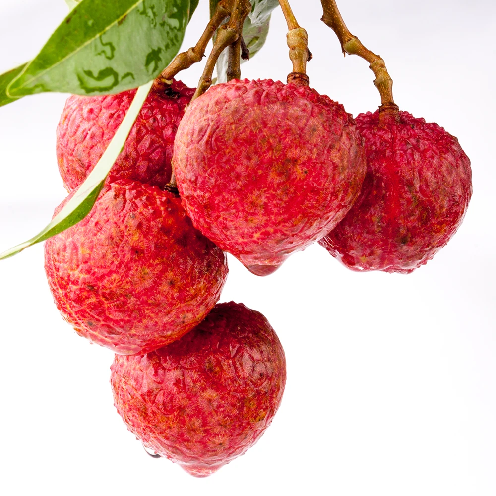 6斤乌叶荔枝冷链发货皮薄特大果新鲜水果黑叶荔枝白糖罂妃子笑w