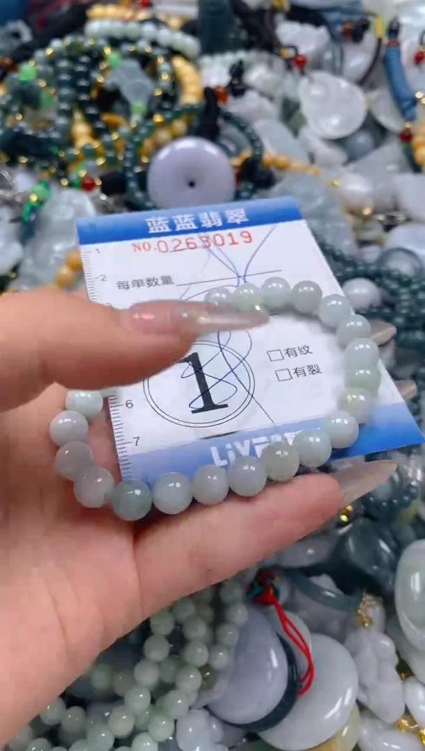 翡翠未镶嵌颈饰闪购0263019