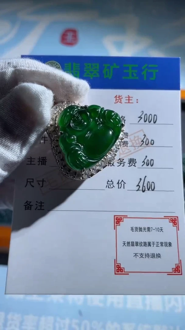 颈饰银S925镶嵌翡翠用****6-净货