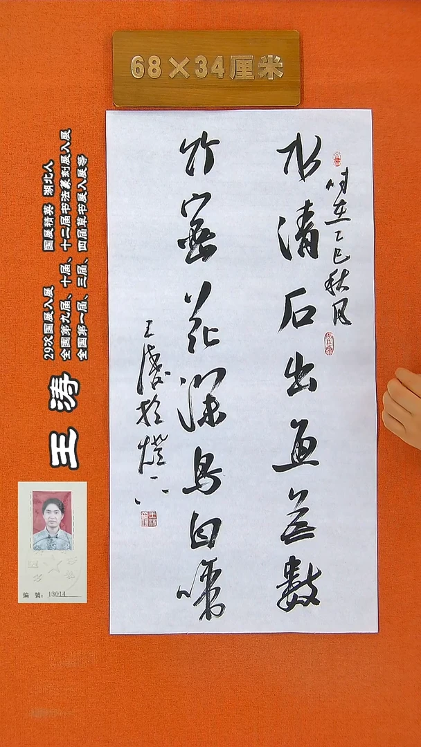 书法24王涛书法作品