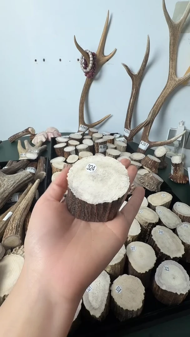 原皮鹿角雕刻料高密度