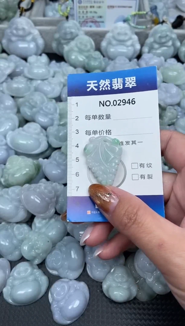 颈饰未镶嵌翡翠纯天然A货翡翠2946