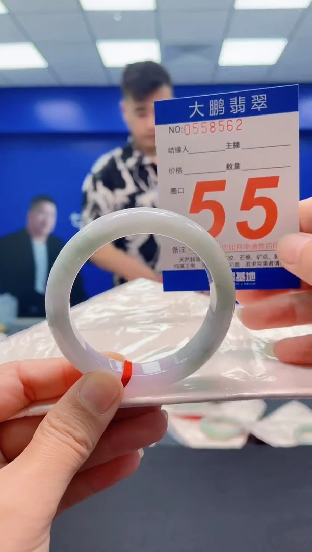 未镶嵌手镯翡翠AAAAAAAAA