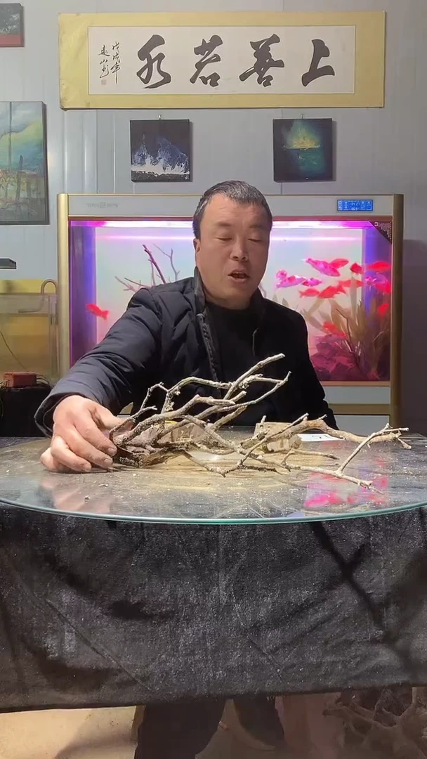 157号天然黄栎木一组