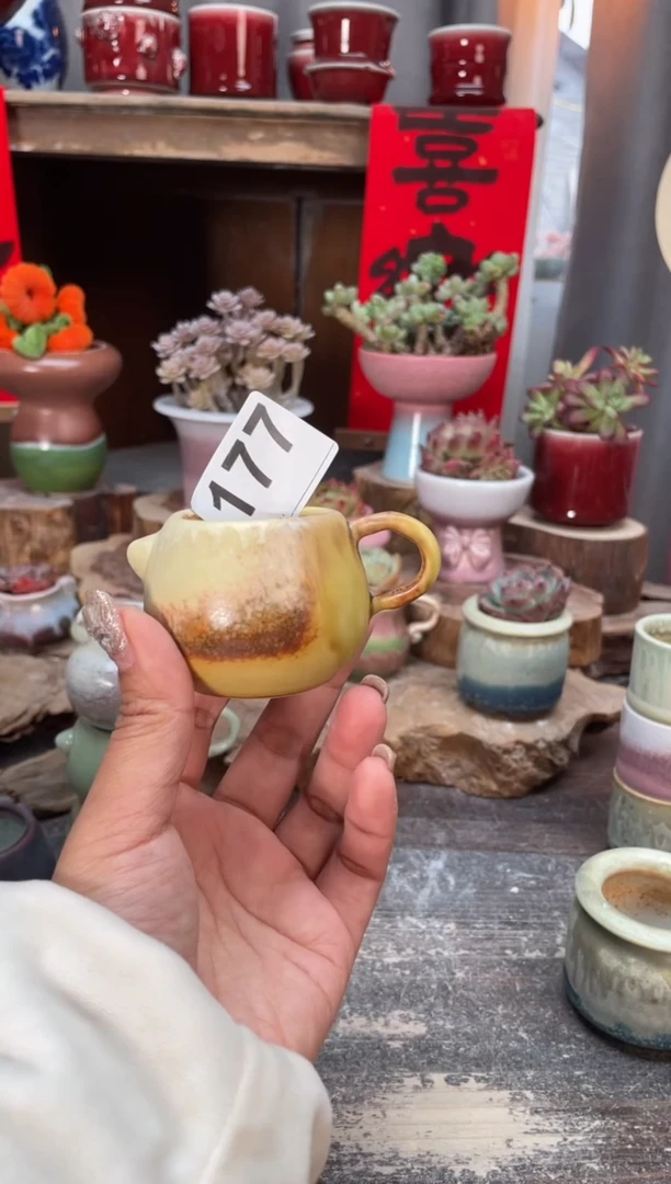 【闪购商品】摆件177知木小芳花盆