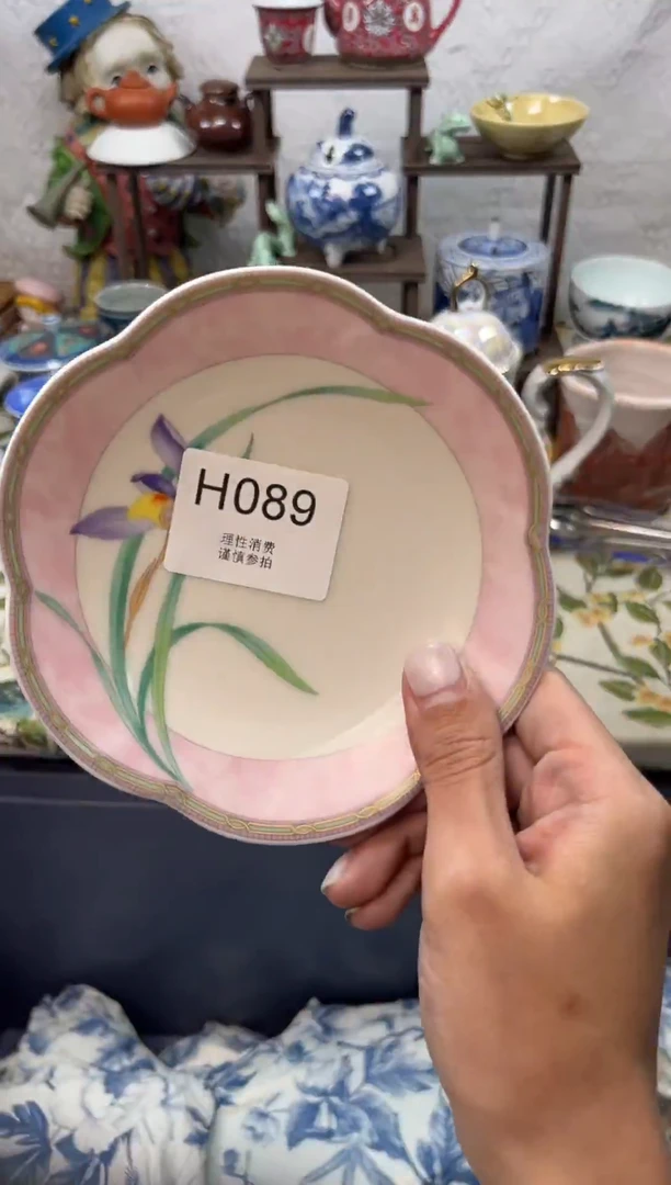 瓷片在****鱼    H089