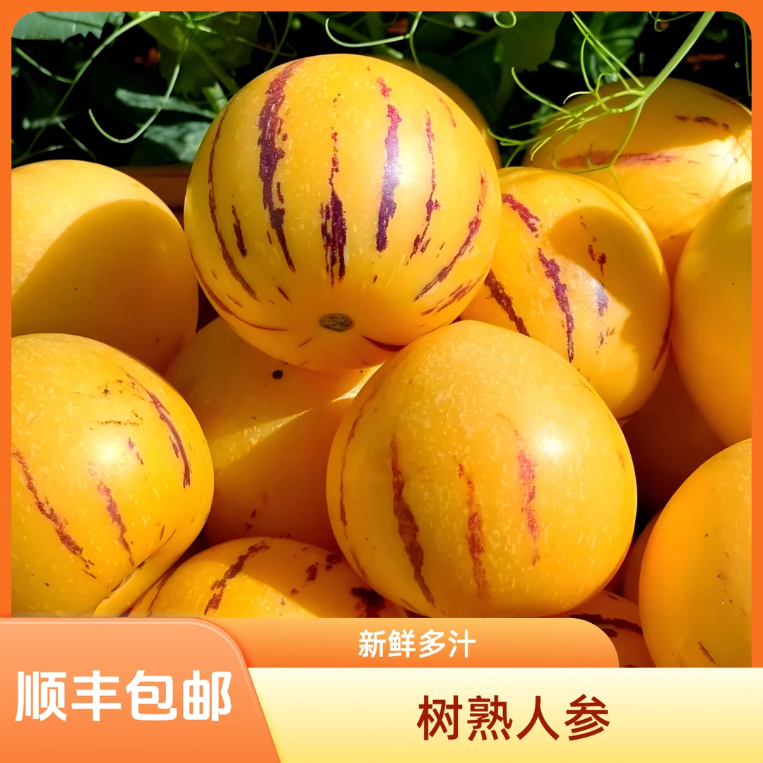 LK【顺丰包邮】云南石林树熟人参产地水果清甜多汁皮薄低糖中秋好礼