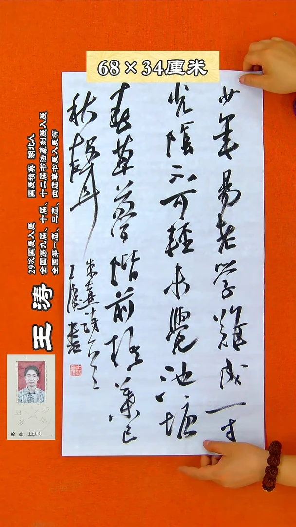 书法48R王涛书法作品