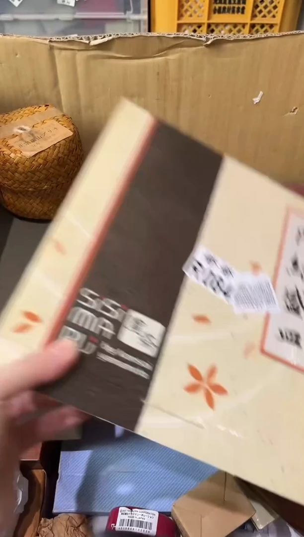 瓷片竺*084定向 竺子定向 竺子